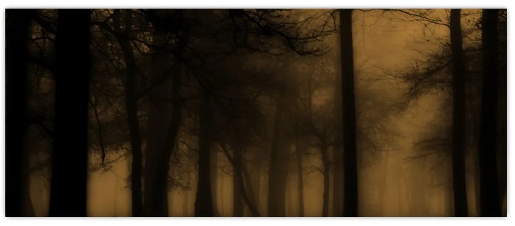 Tablou - Pădurea întunecată (120x50 cm)