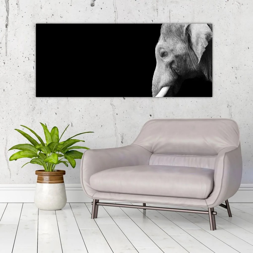 Tablou - Elefant (120x50 cm)