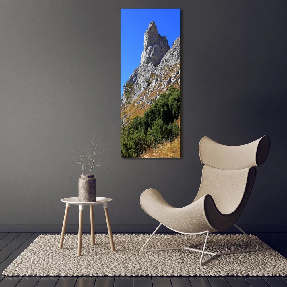 Pictură pe pânză Mici Giewont Tatra