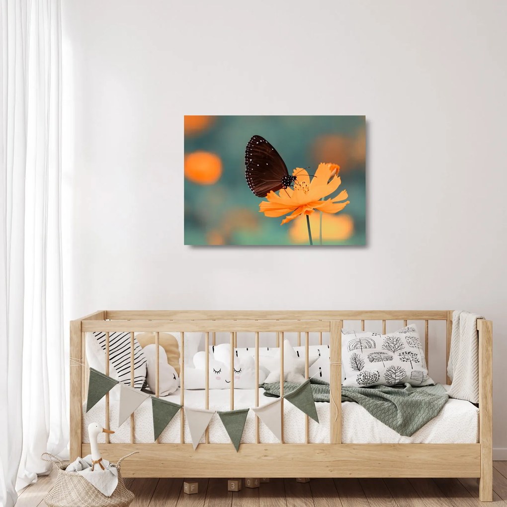 Tablou pe sticlă - fluture pe o floare portocalie (70x50 cm)