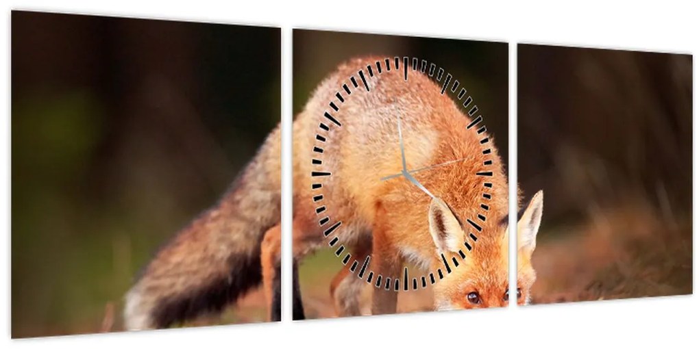 Tablou - Vulpe in pădure (cu ceas) (90x30 cm)