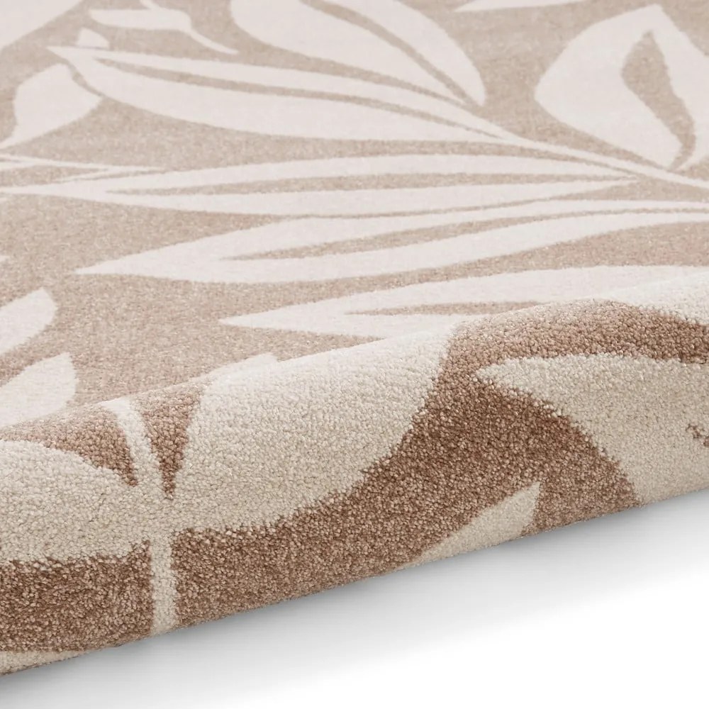 Covor maro deschis 120x170 cm Sorral Leaves – Catherine Lansfield