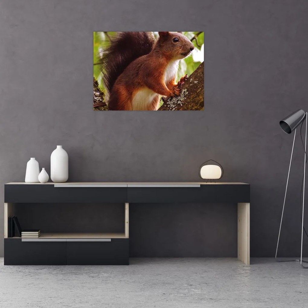 Tablou cu veverița (70x50 cm)