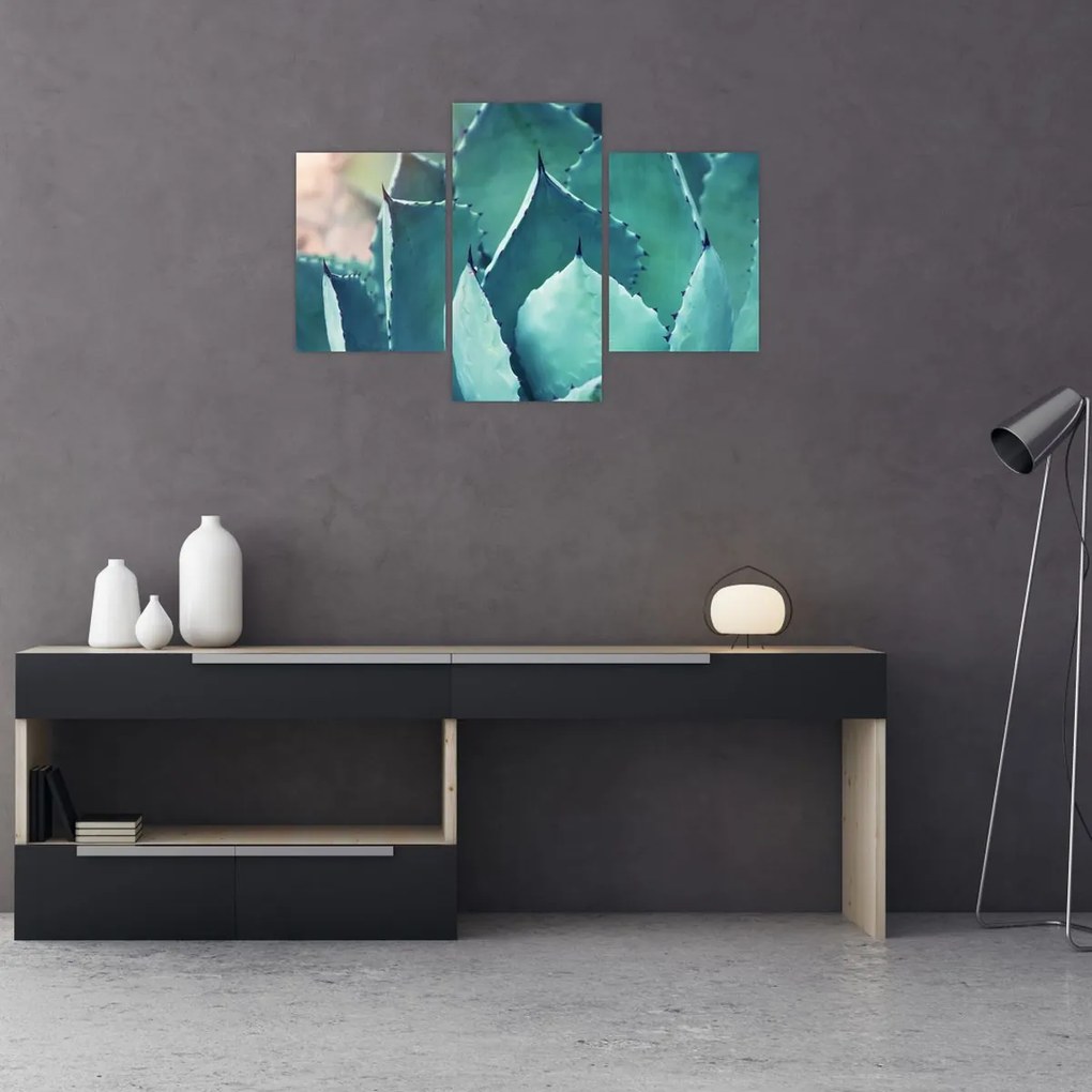 Tablou - Suculent (90x60 cm)