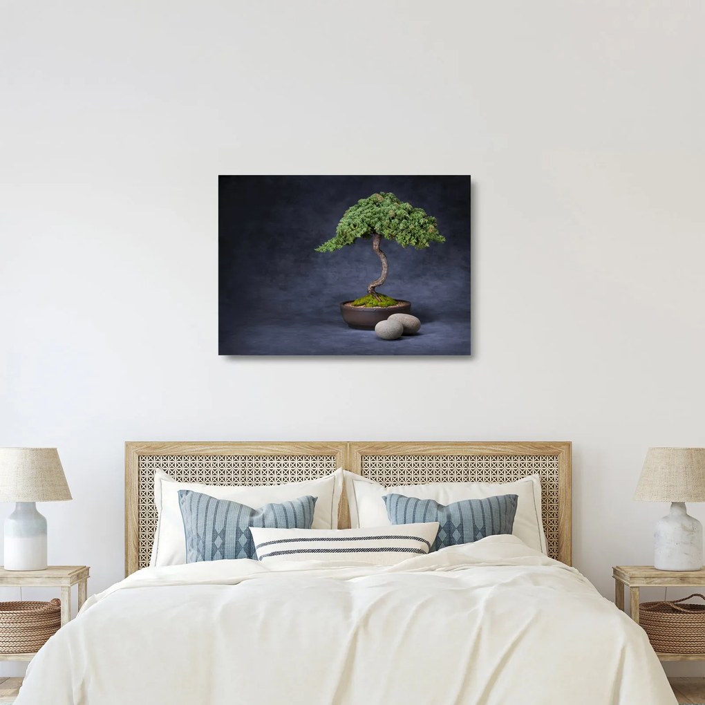 Tablou pe sticlă - Bonsai (70x50 cm)