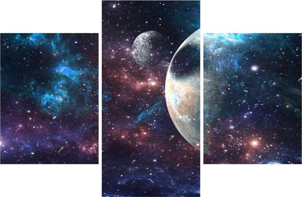 Tablou cu cosmos (90x60 cm)