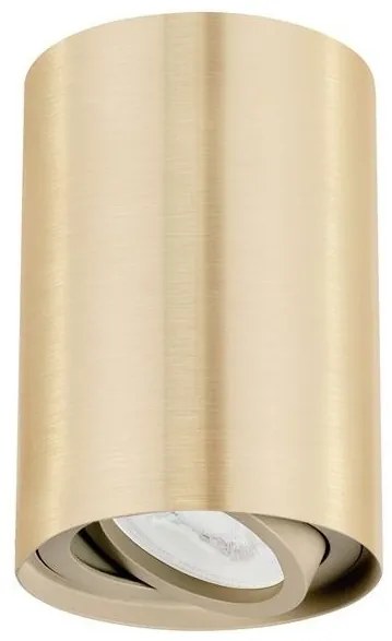 Spot aplicat tavan directionabil San auriu