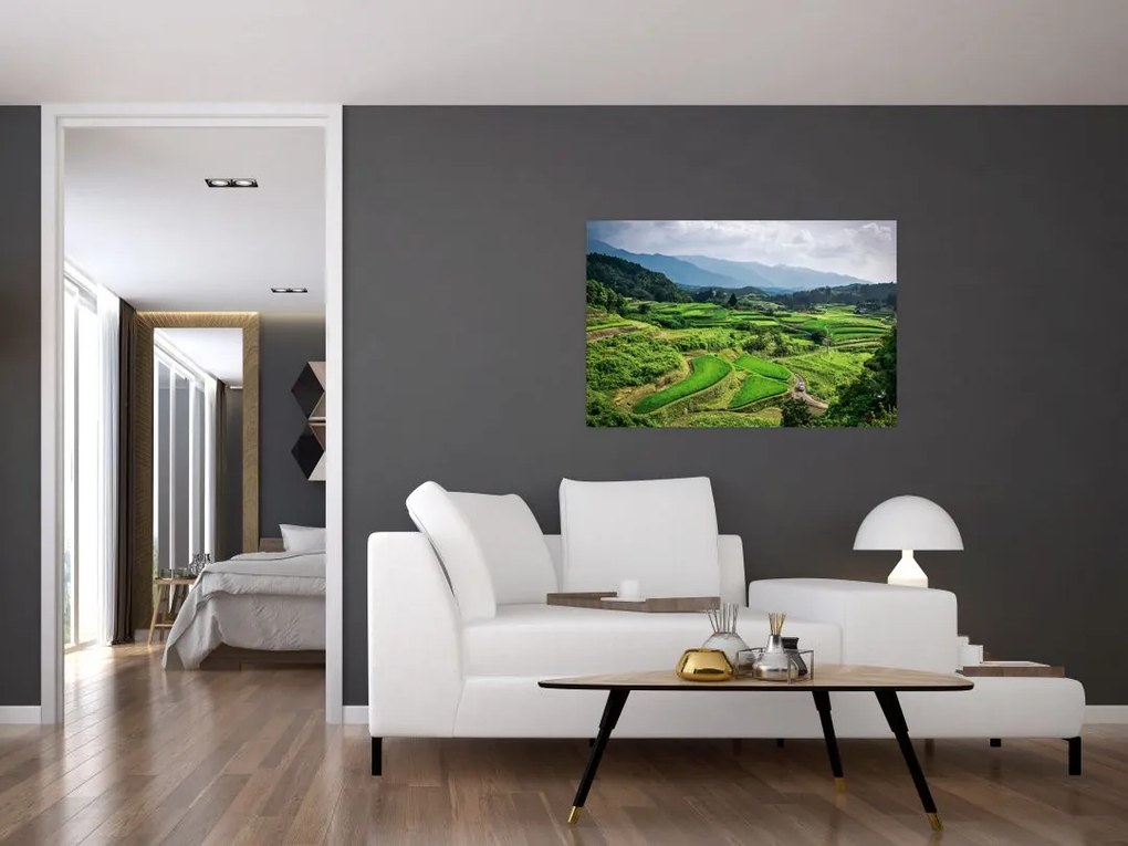 Tablou cu câmp de orez (90x60 cm)
