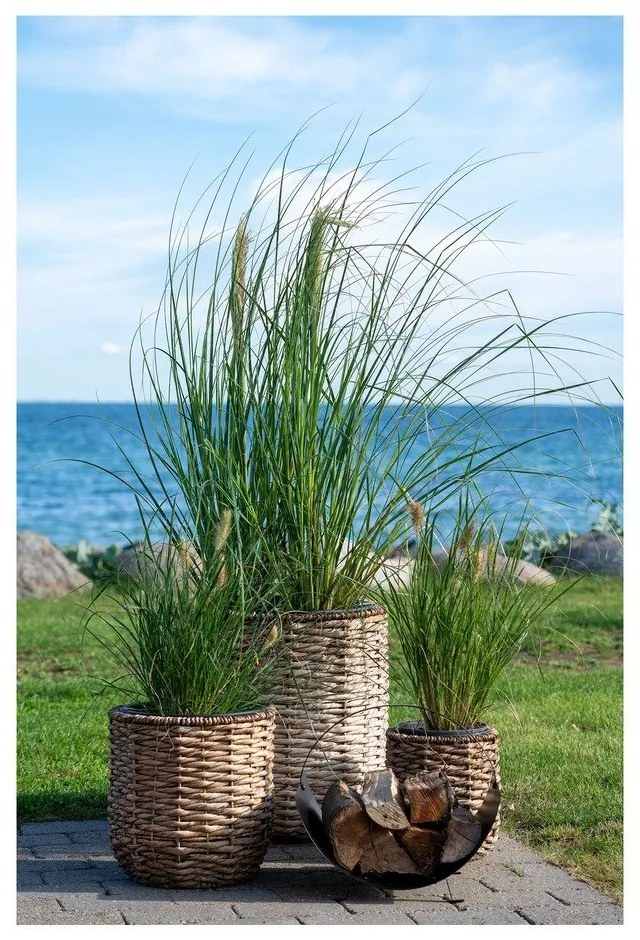 Ghivece 3 buc. din zambilă de apă ø 49 cm Hanoi – House Nordic