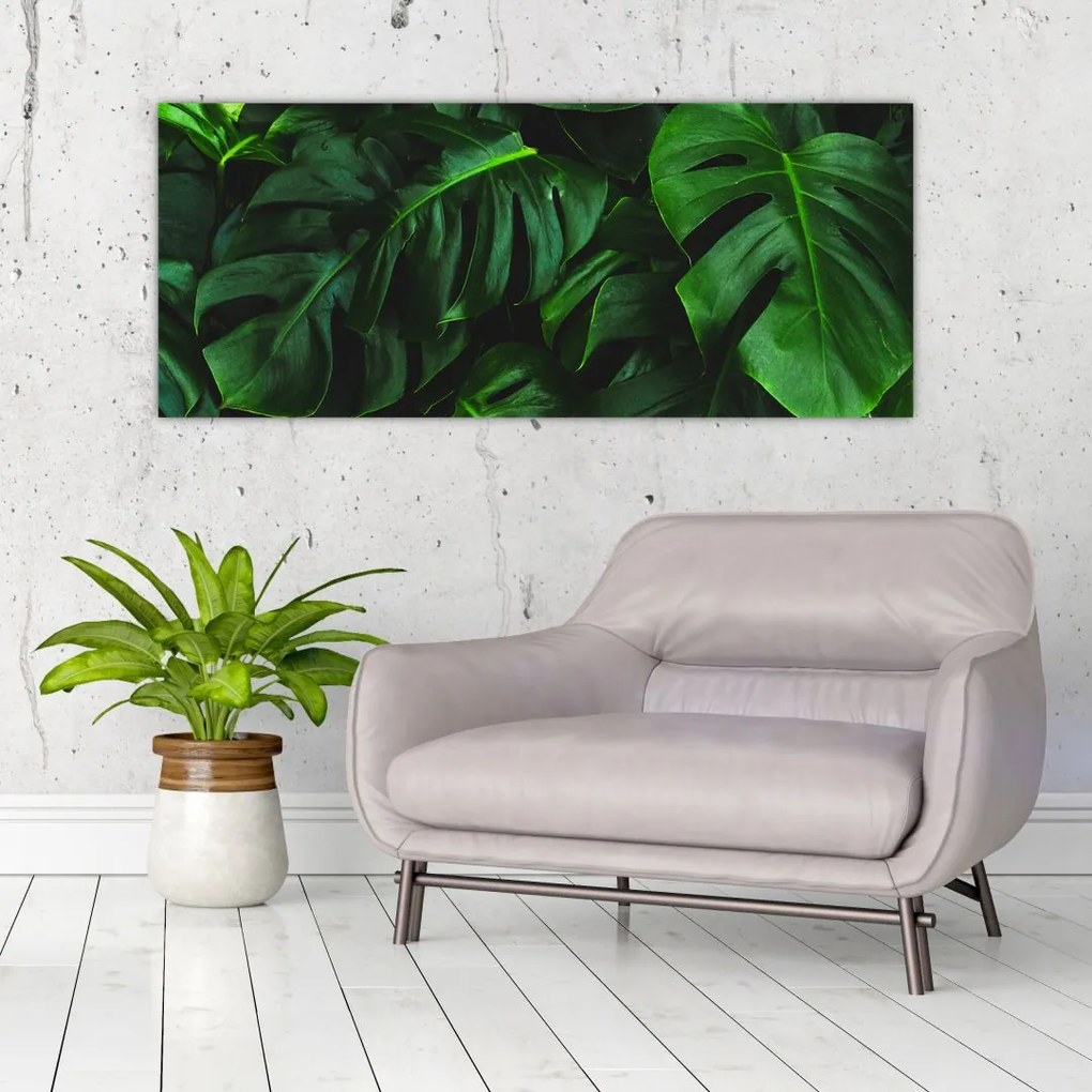 Tablou cu frunze Monstery (120x50 cm)