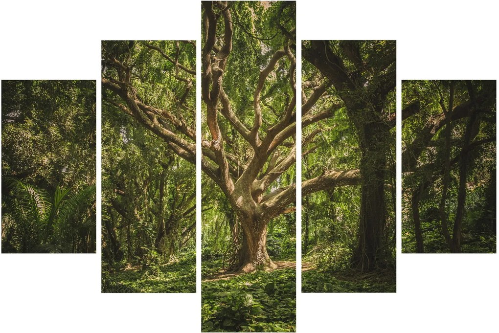 Tablou cu copaci (150x105 cm)