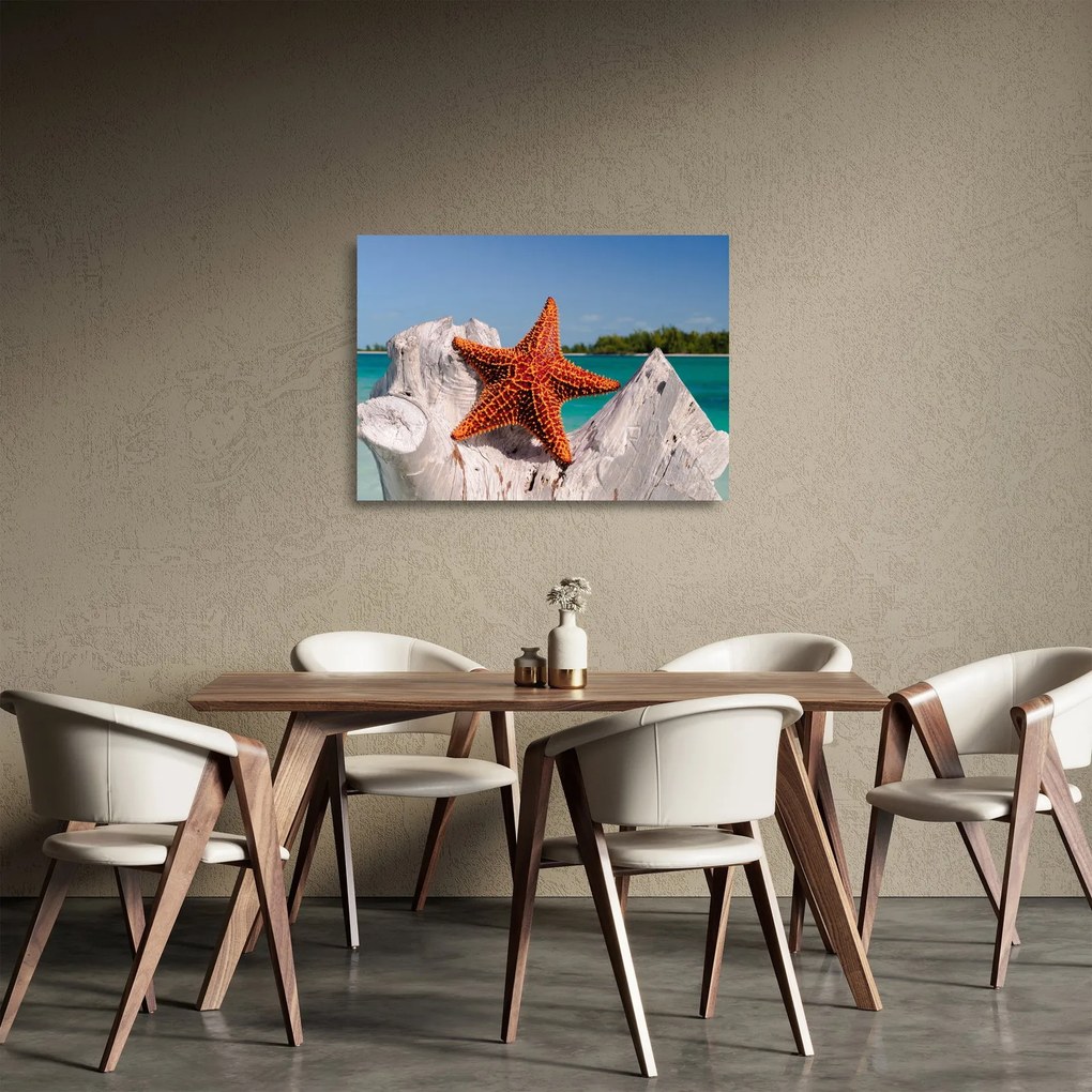 Tablou pe sticlă cu stea de mare (70x50 cm)