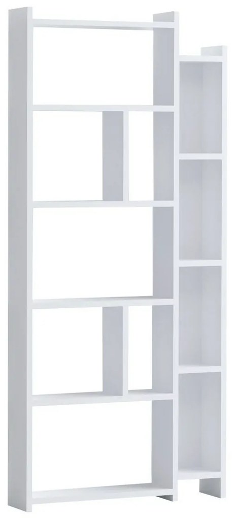 Bibliotecă Nina White