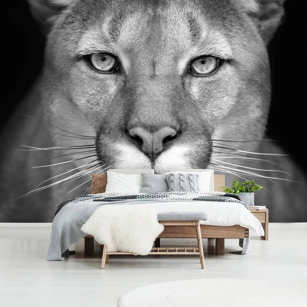 Fototapet - Leoaică (152,5x104 cm)