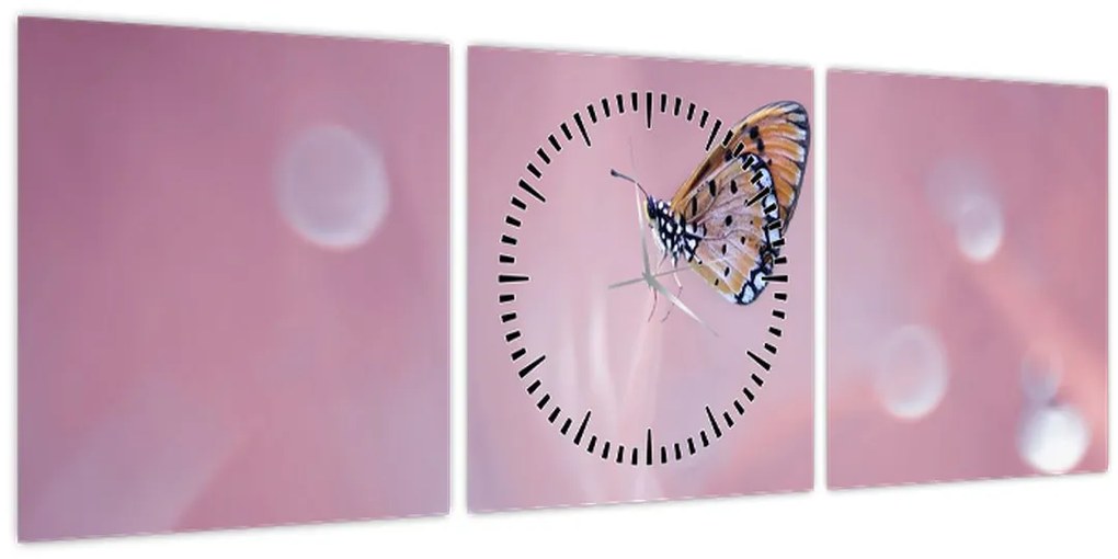 Tablou - Fluture (cu ceas) (90x30 cm)