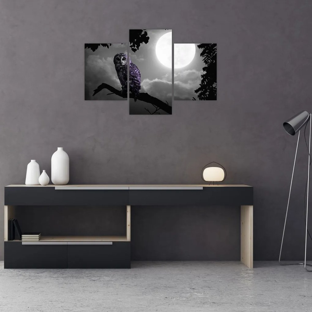 Tablou - Bufniță de noapte, bufniță mov (90x60 cm)