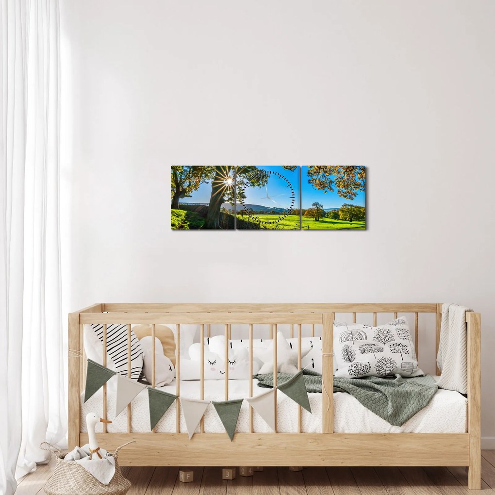 Tablou Privire la câmp (cu ceas) (90x30 cm)
