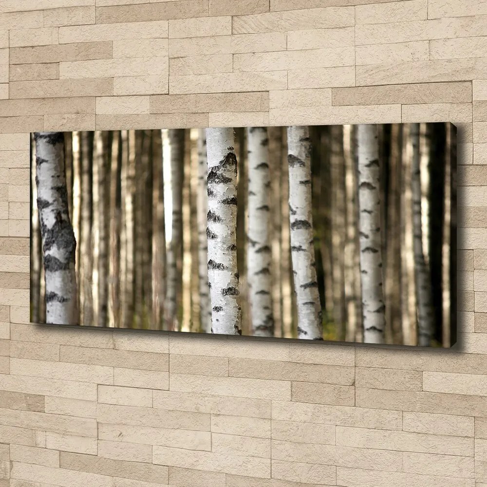 Print pe canvas Mesteceni