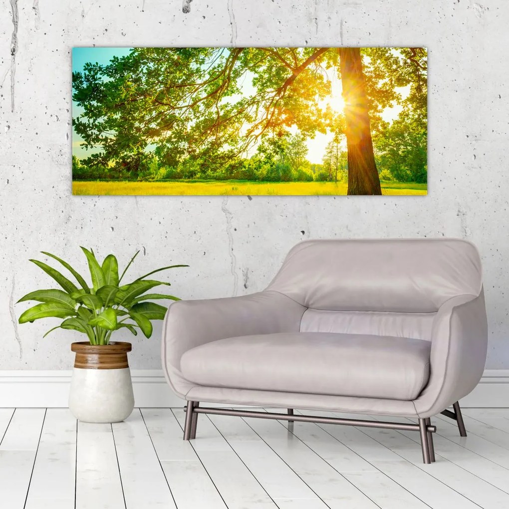 Tablou - Pădurea însorită (120x50 cm)