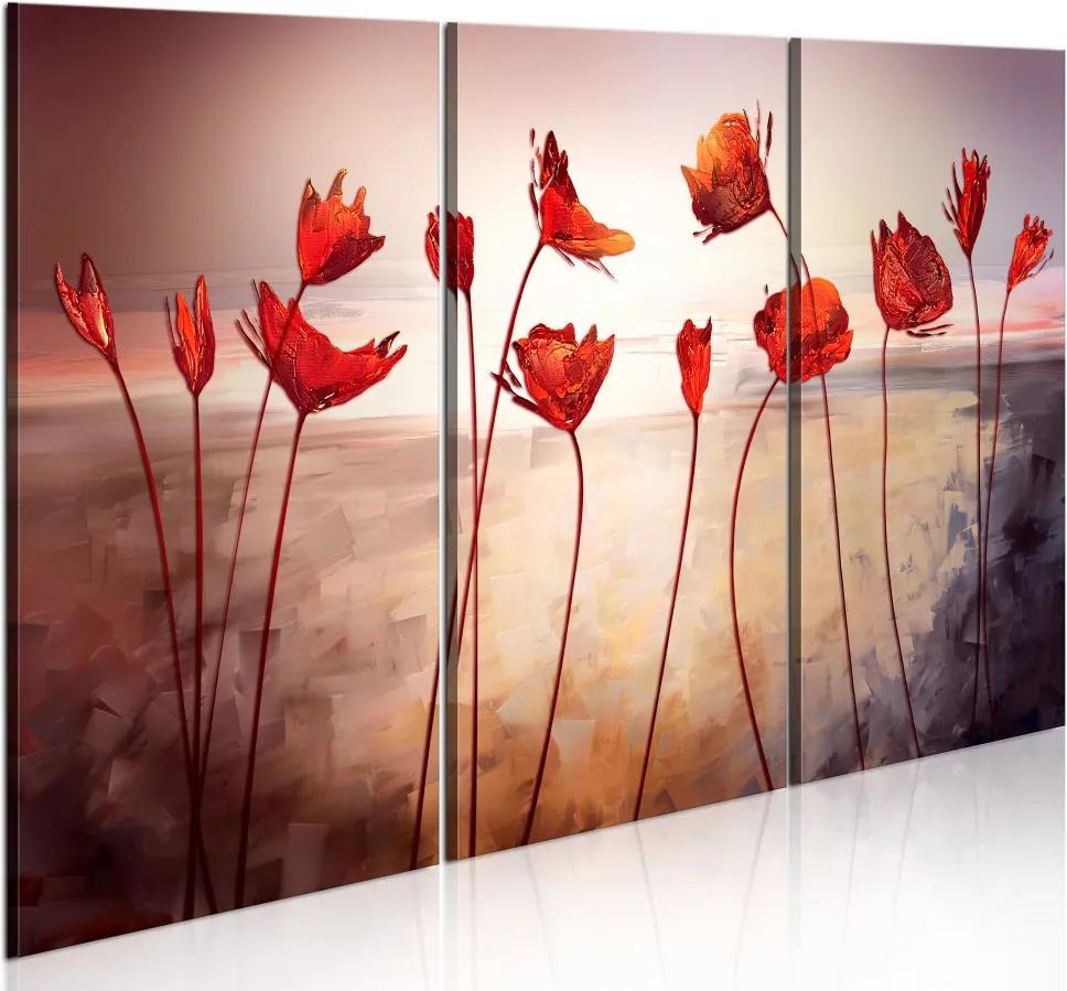 Tablou Bimago - Bright red poppies 60x40 cm