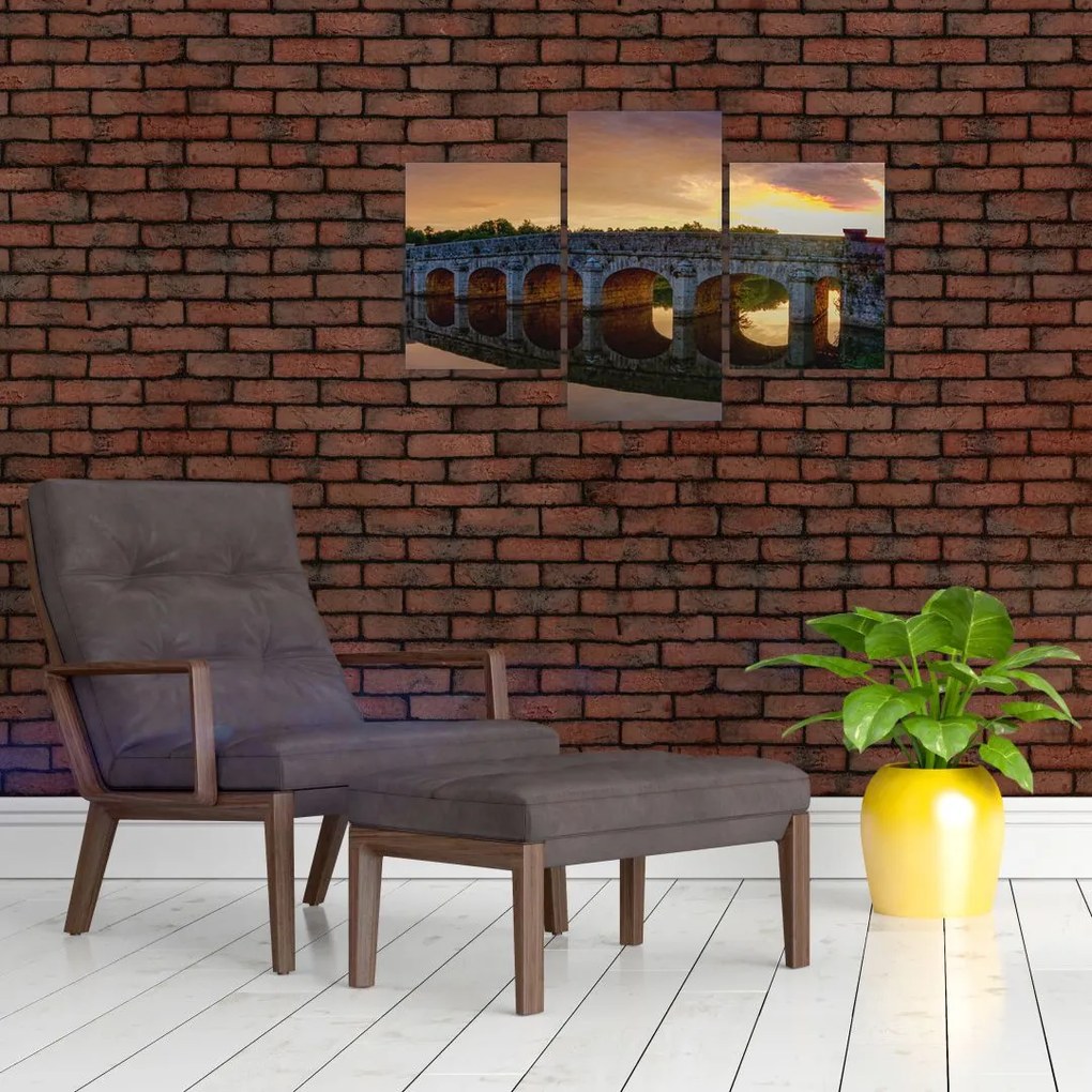 Tablou cu pod (90x60 cm)