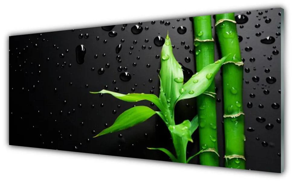 Tablouri acrilice Frunze de bambus verde florale negru