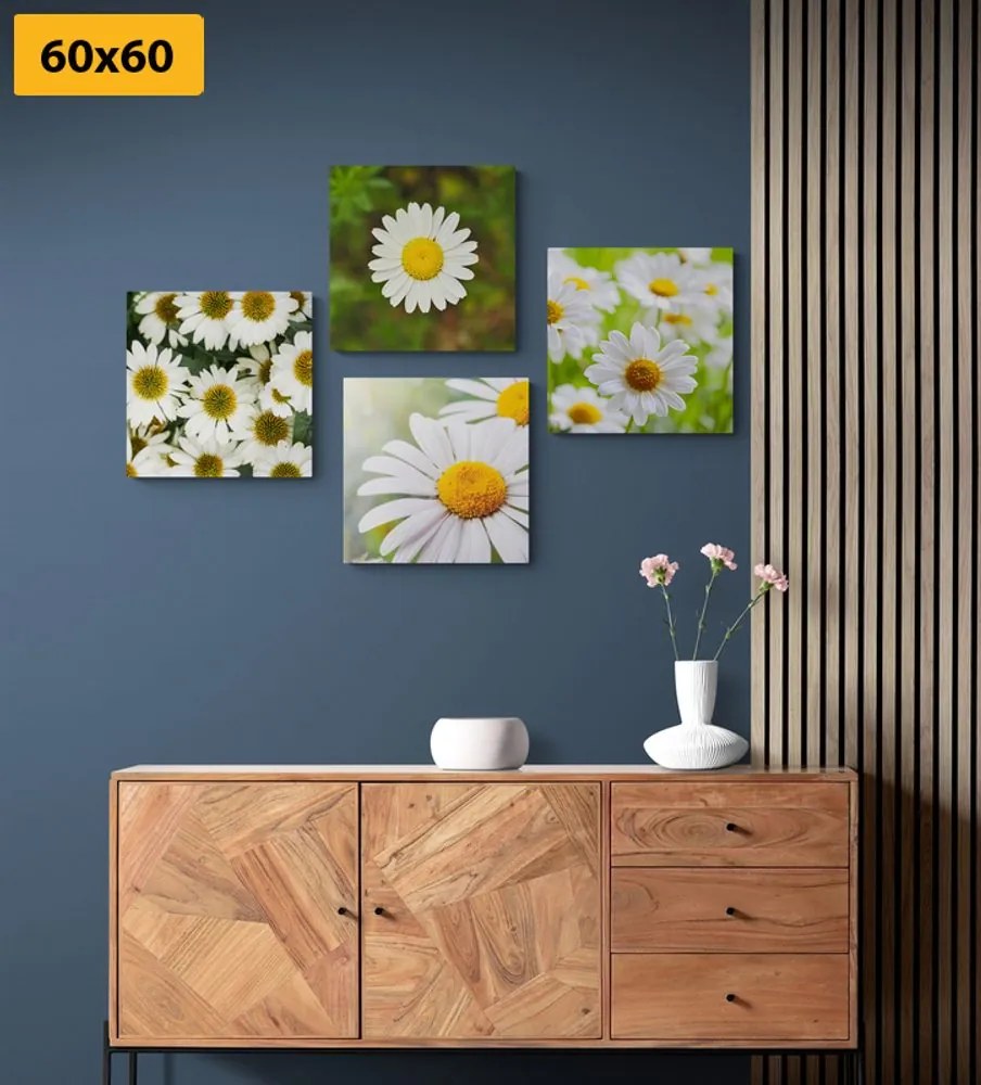 Set tablouri flori magice