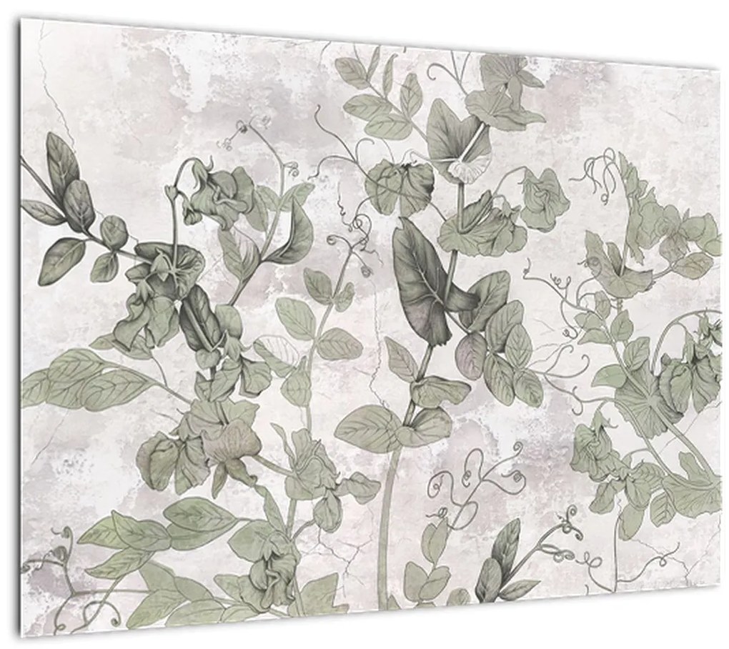 Tablou pe sticlă - Plante in ipsos (70x50 cm)