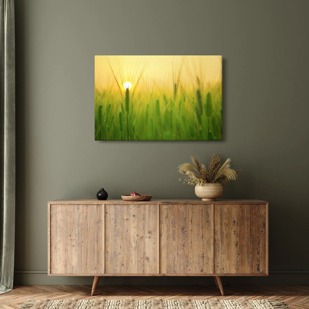 Tablou - Câmp cu cereale (90x60 cm)