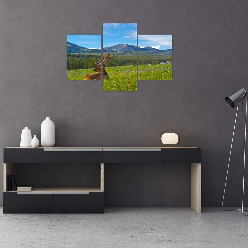 Tablou - Cerb în luncă (90x60 cm)
