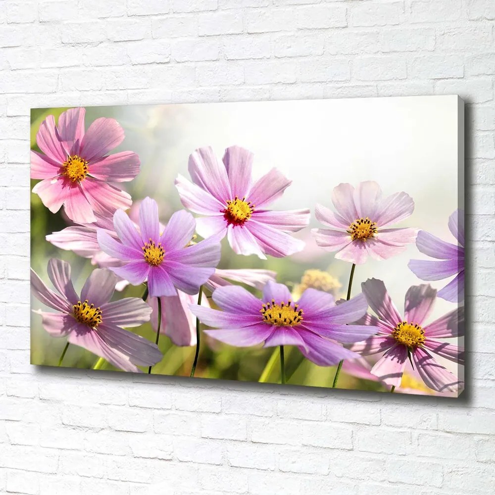 Print pe canvas Flori în lunca