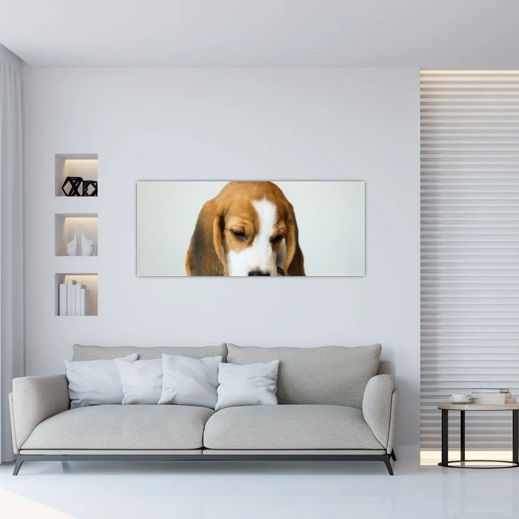 Tablou cu bigl (120x50 cm)