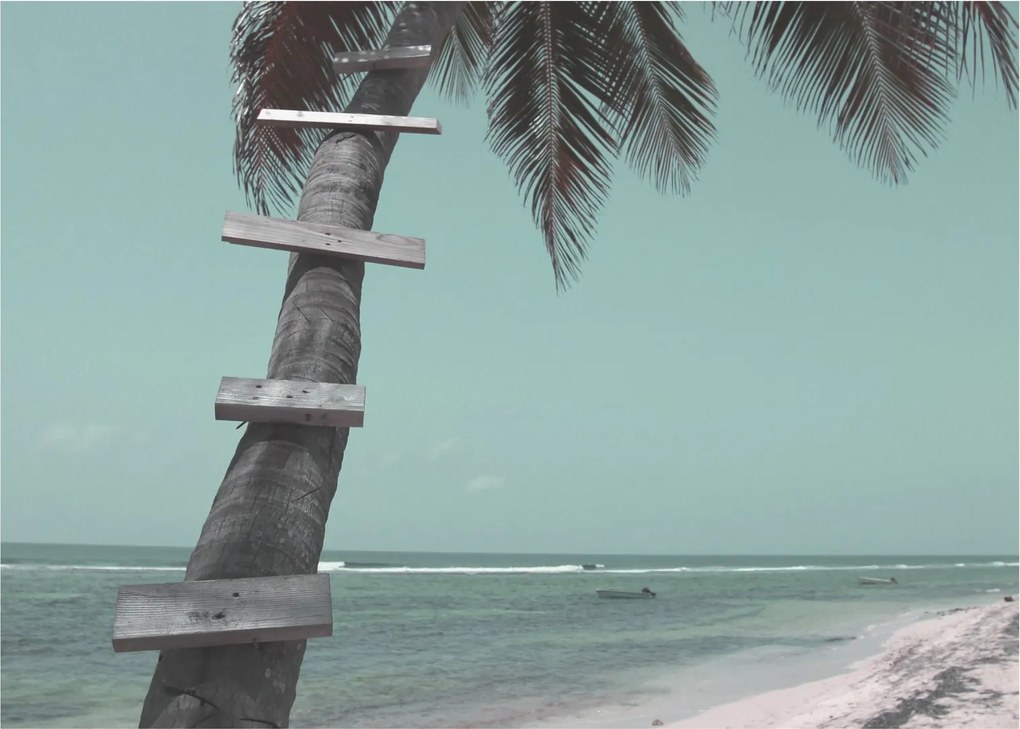Tablou - Palma în Caraibe (70x50 cm)