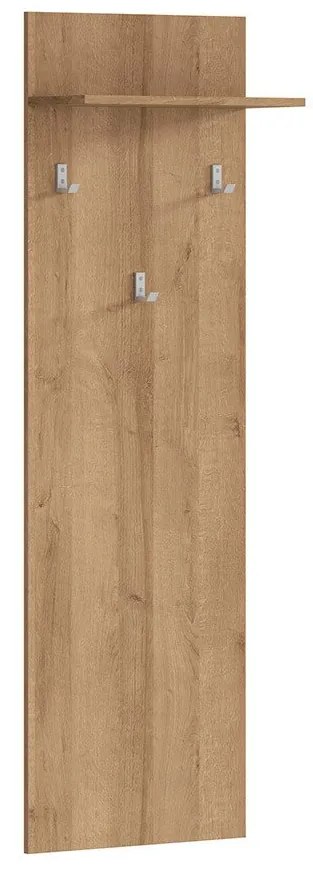 Zondo Cuier Balder WIE/45. 1005635