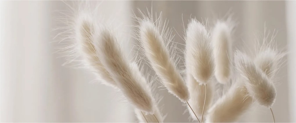 Tablou - Cozi de iepure (120x50 cm)