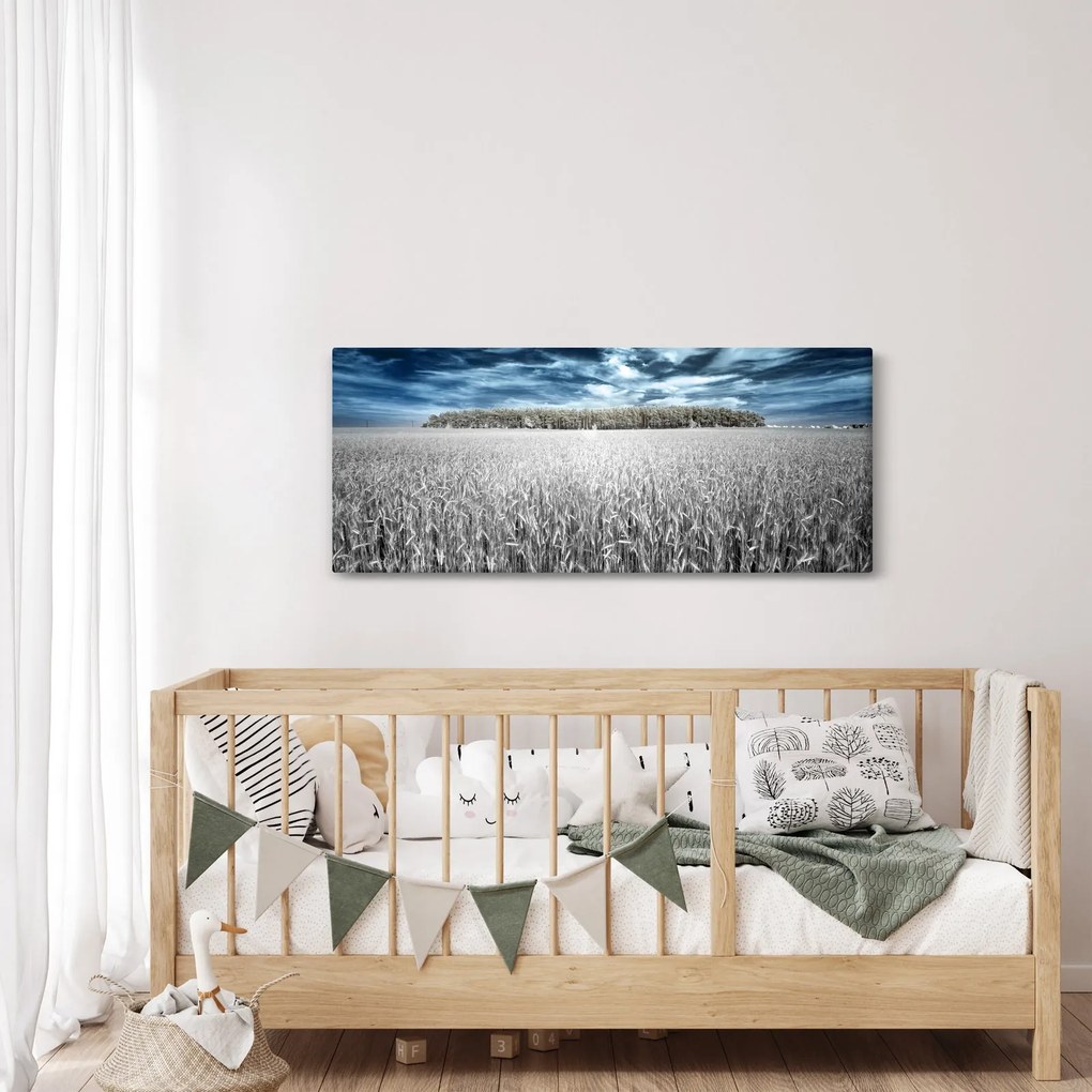 Tablou cu câmp (120x50 cm)