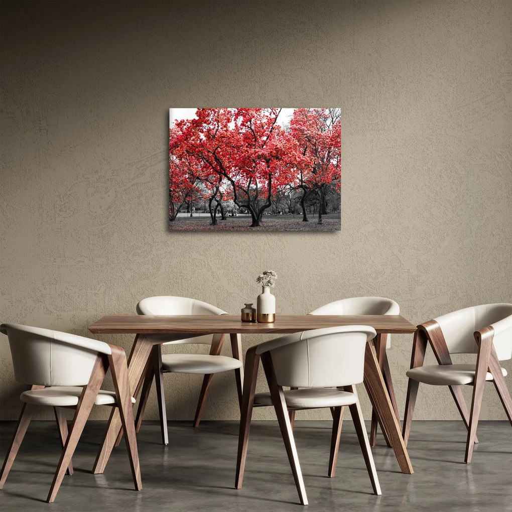Tablou - Copacii roșii, Central Park, New York (70x50 cm)