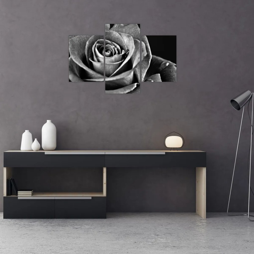 Tablou - Trandafir,alb-negru (90x60 cm)