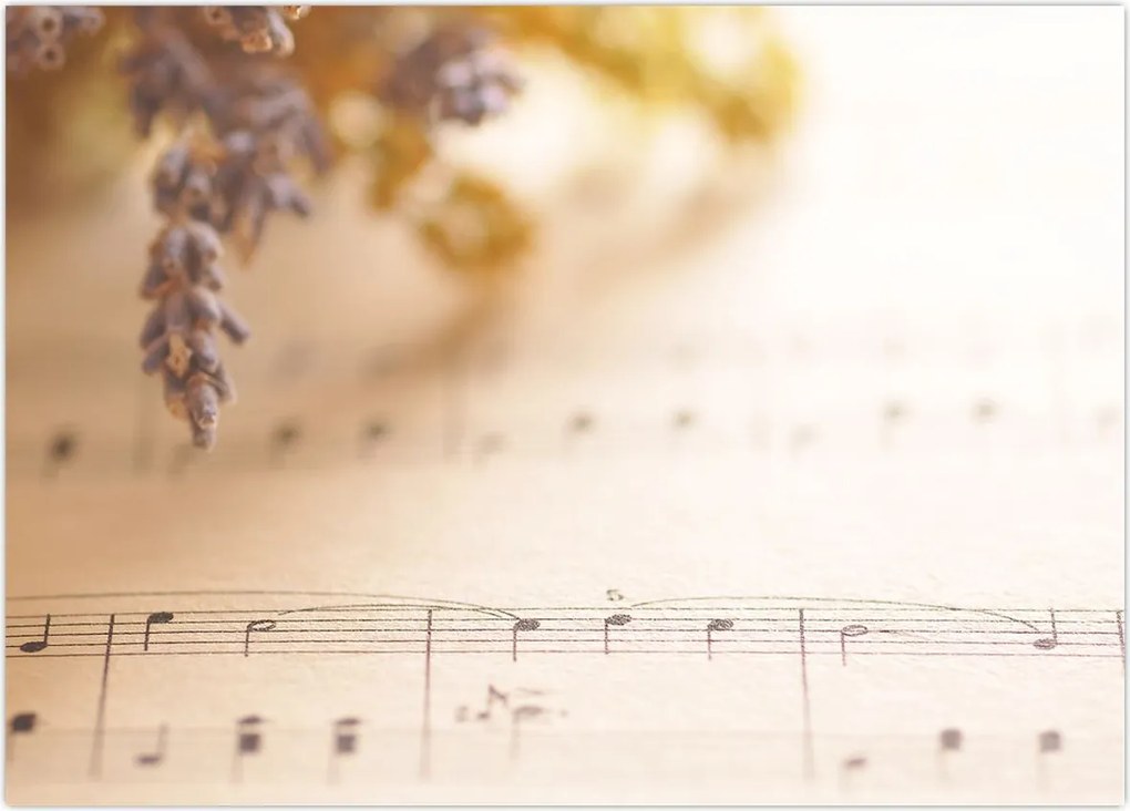 Tablou - Cântec (70x50 cm)