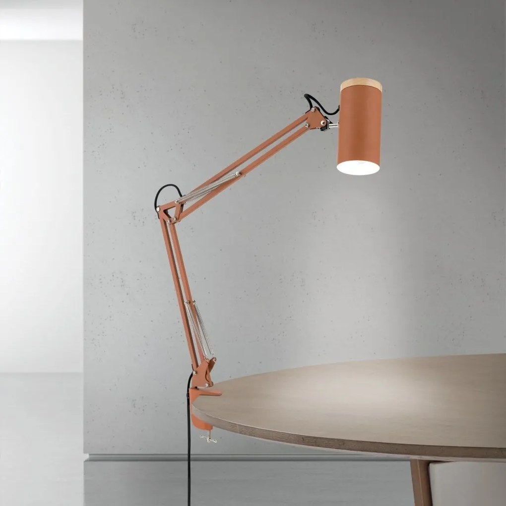 Lampa cu brat articulat si sistem de prindere masa, Gili rosu coral