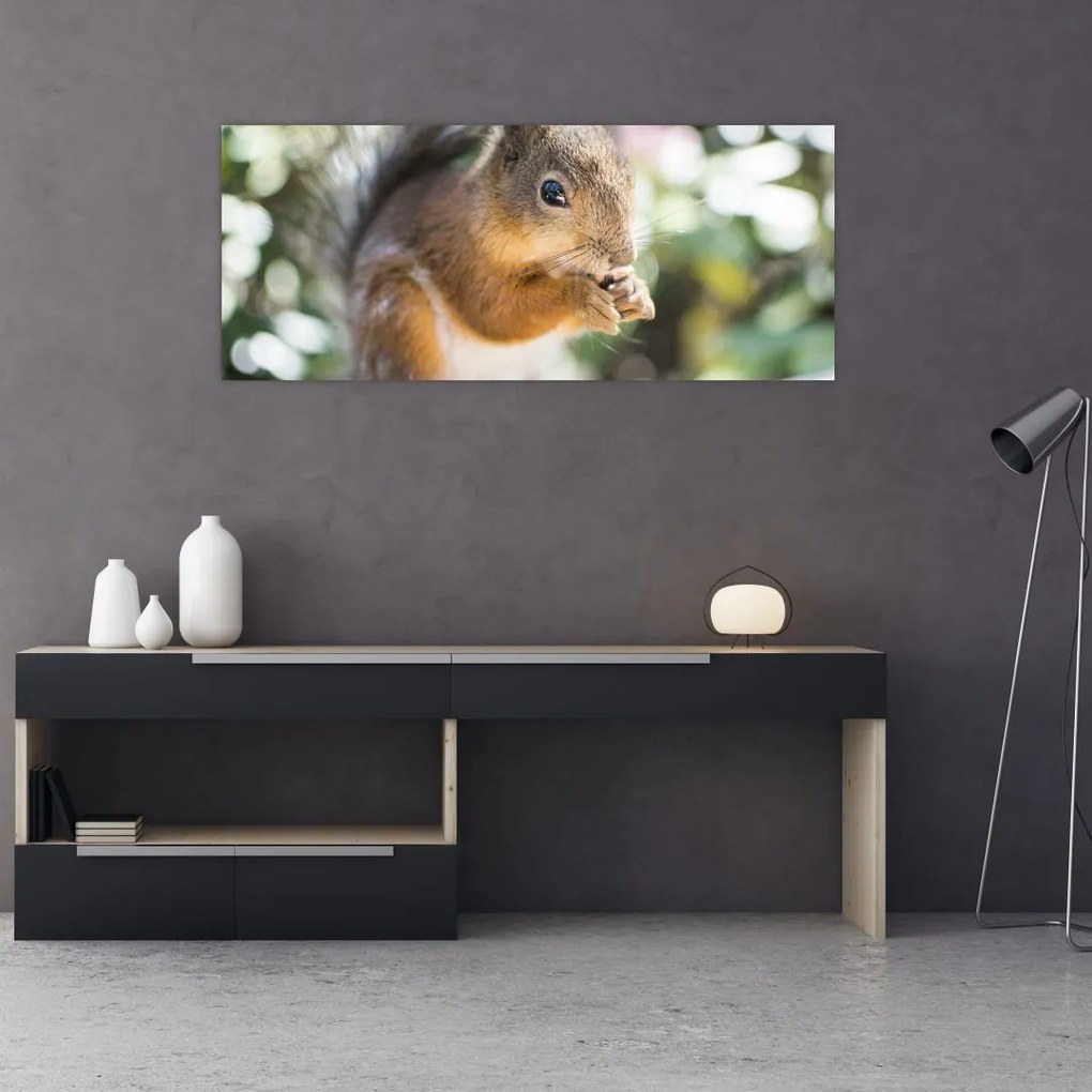 Tablou cu veverița (120x50 cm)
