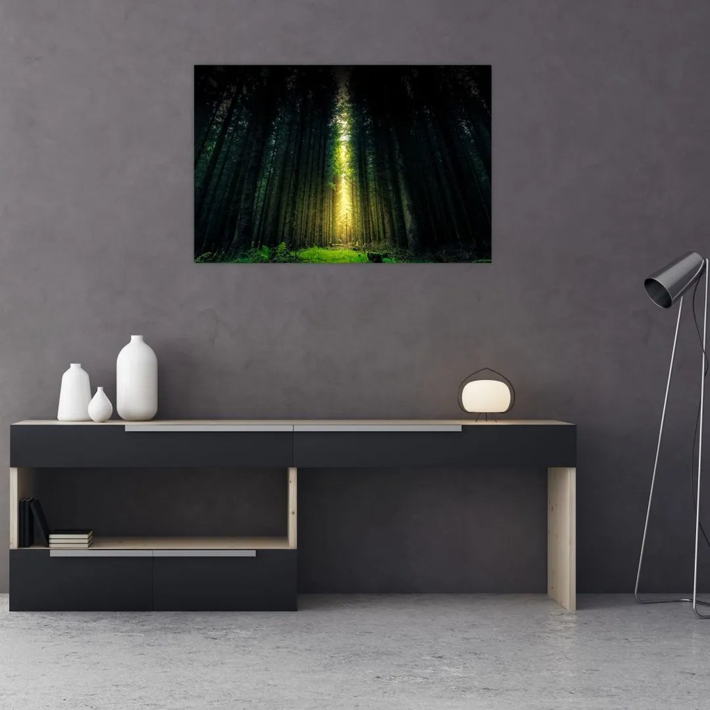 Tablou cu pădurea întunecată (90x60 cm)