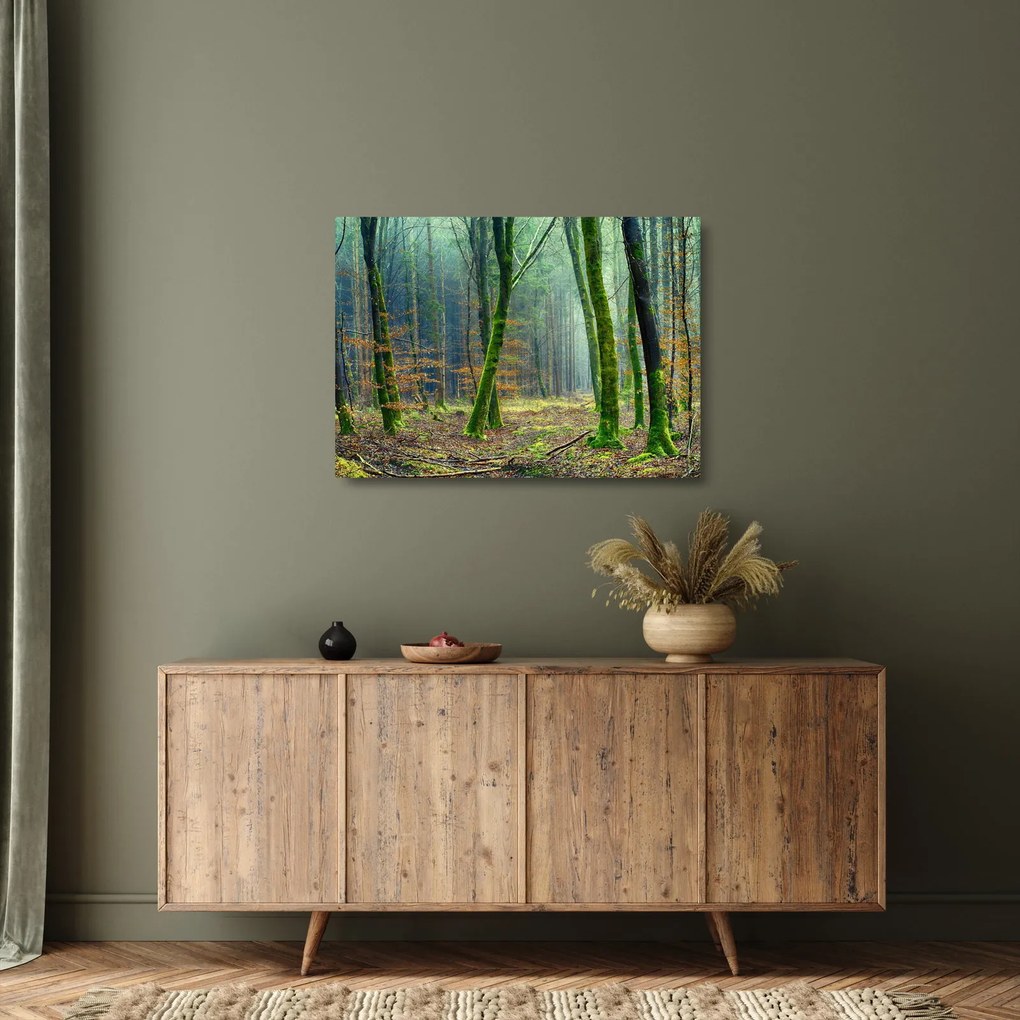 Tablou pe sticlă cu pădure (70x50 cm)
