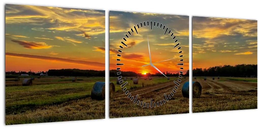 Tablou - Baloți din sat (cu ceas) (90x30 cm)