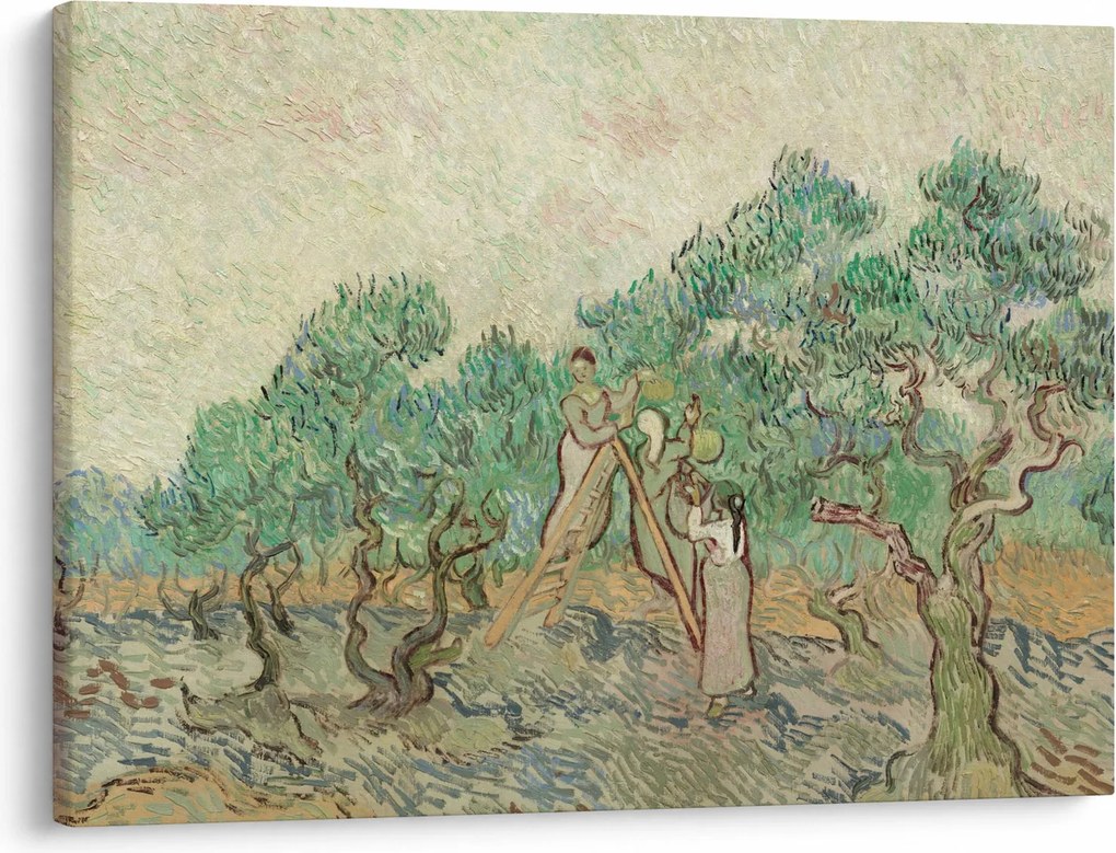 Tablou - Vincent van Gogh, The Olive Orchard, reproducere (70x50 cm)
