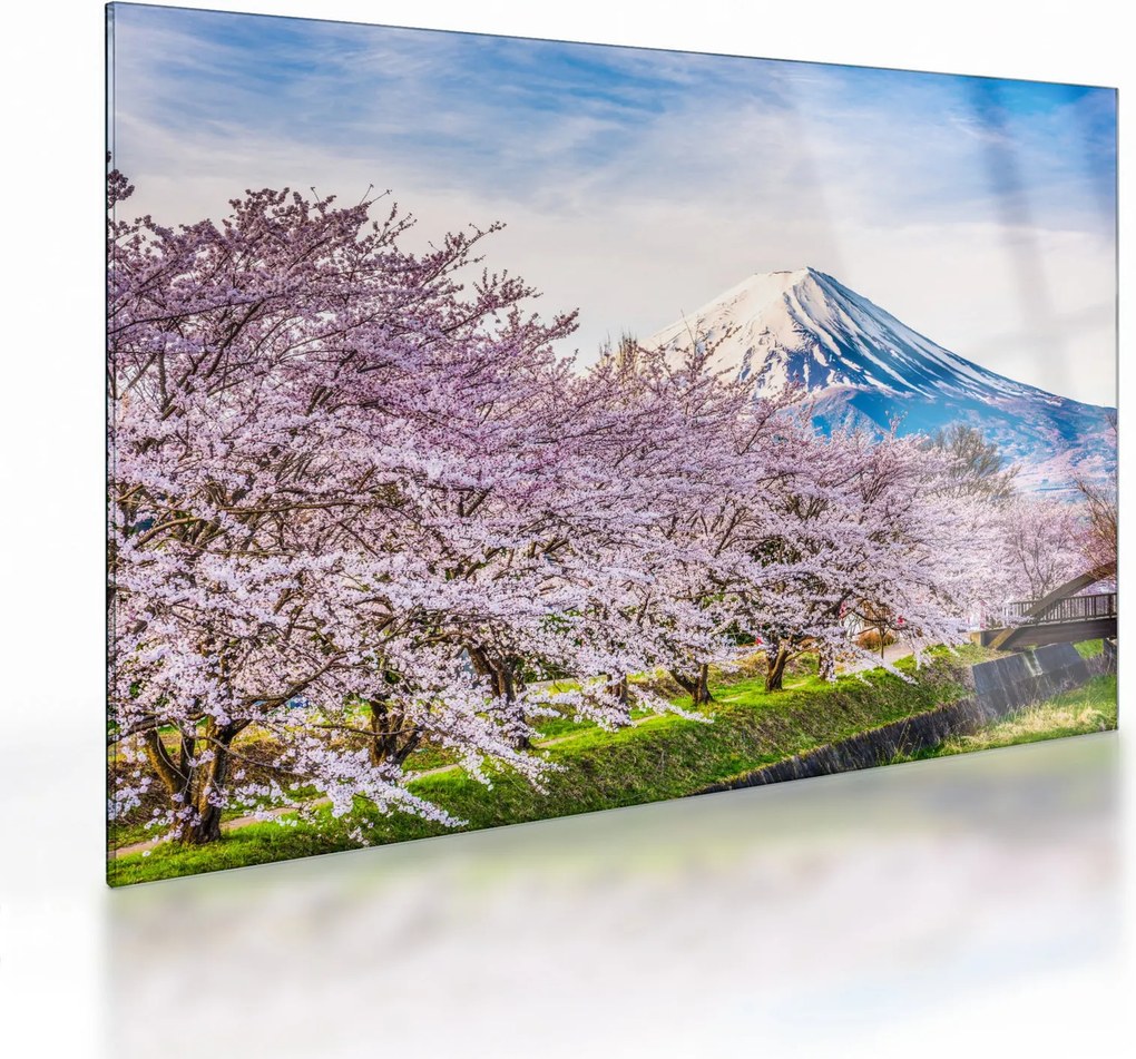 Tablou pe sticlă - Japonia în primăvară (70x50 cm)