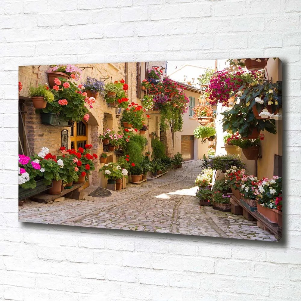 Imprimare tablou canvas Stradă fermecătoare