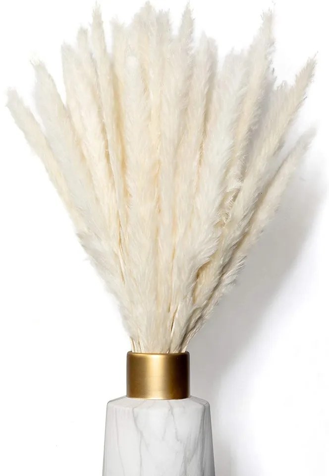 Buchet uscat de pampas White Luxury, alb, 55-60 cm