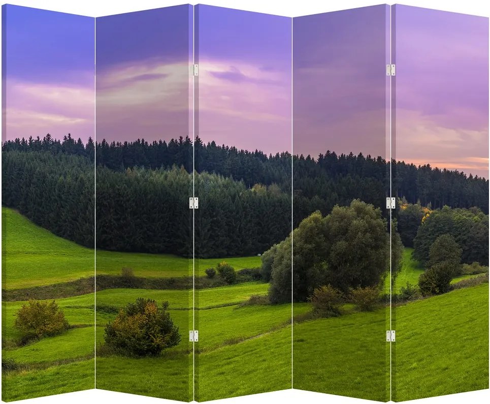 Paravan - Lunca (210x170 cm)