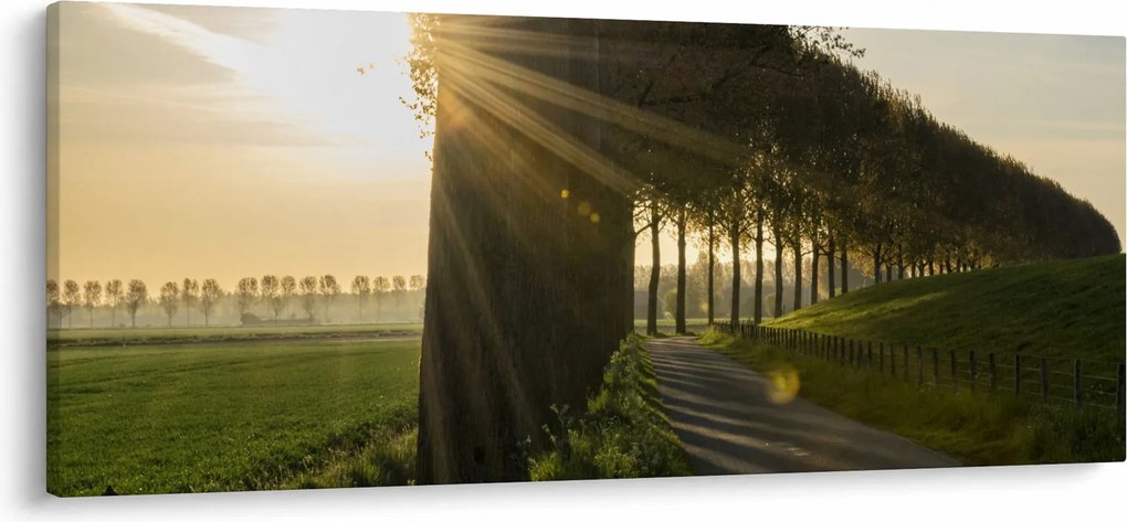 Tablou cu alee (120x50 cm)